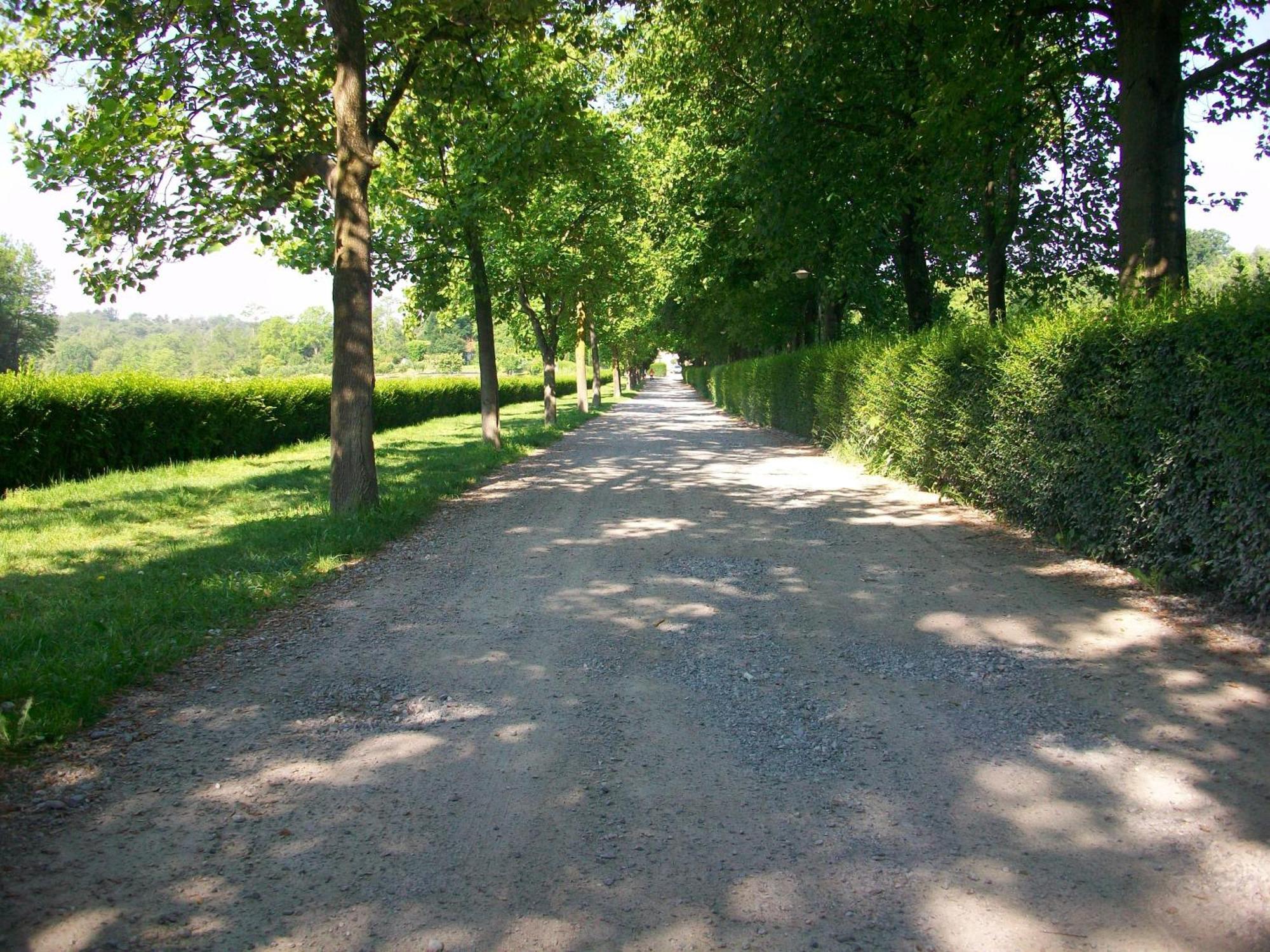 B&B L'Albero Maestro Orsenigo Exteriér fotografie